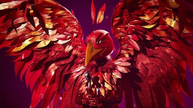 A red bird with wings on a purple background.